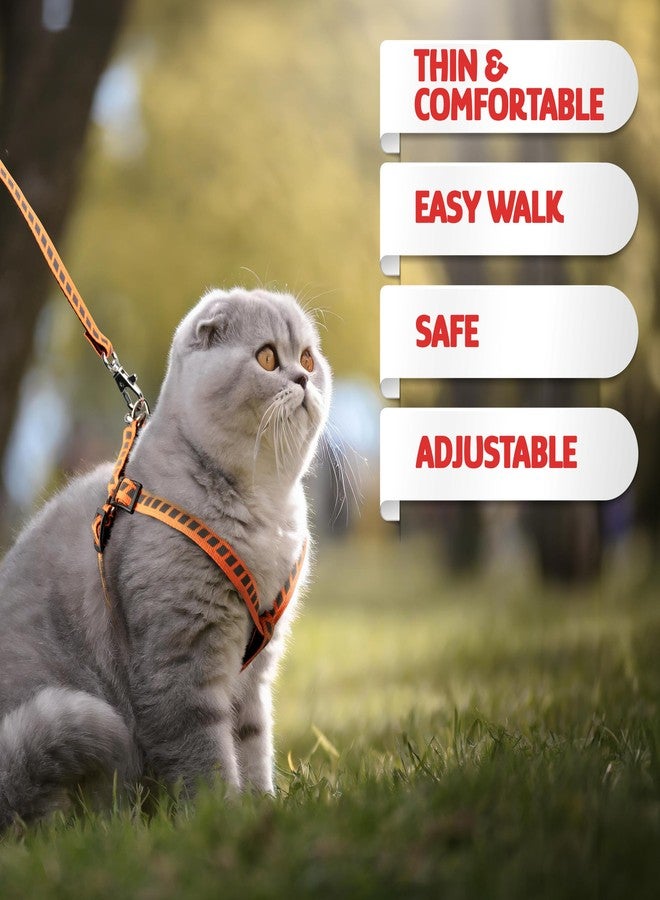 Filbert Cat Harness and Leash Set with Reflective Strip, Thin Cat Harness Escape Proof with Leash, Step-in, Adjustable, Indoor Outdoor, Easy-to-Put-On - Image 2
